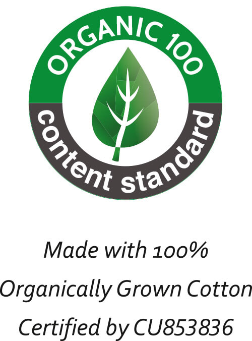 Men's-T Organic 100 Content Standard